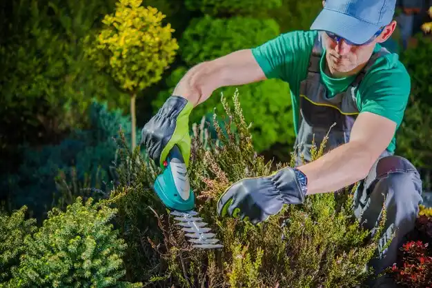 landscaping services Gibsland